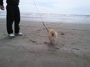 mi baby en la playa !! mi baby en la playa !!